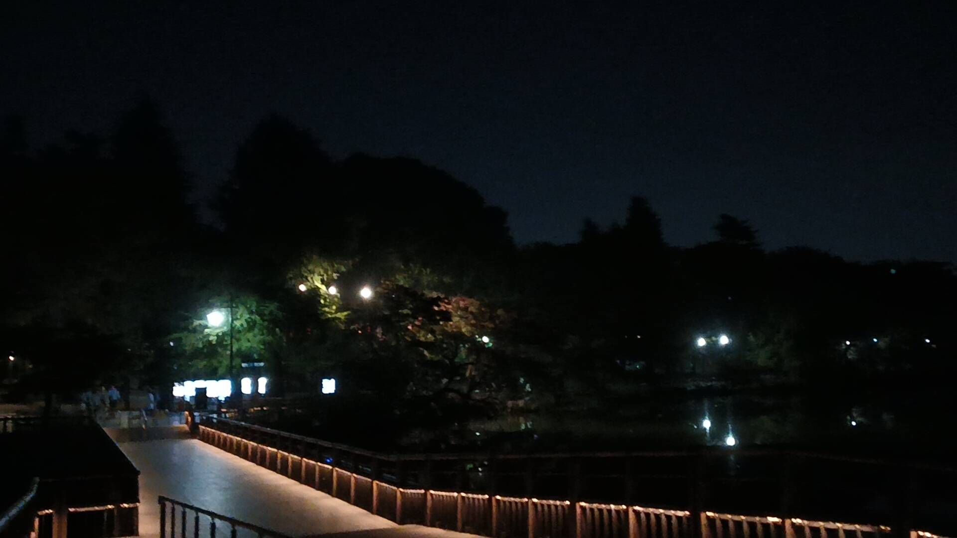 池の水面に映る街灯と建物の明かり